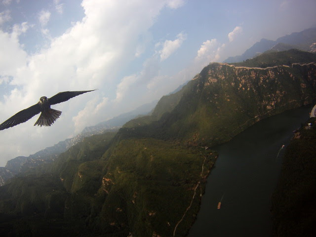 Falcon Attacks (KAP Rig) @ The China Great Wall