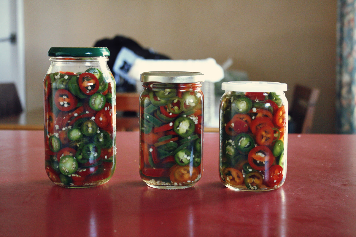 Talia christine how to pickled jalapenos