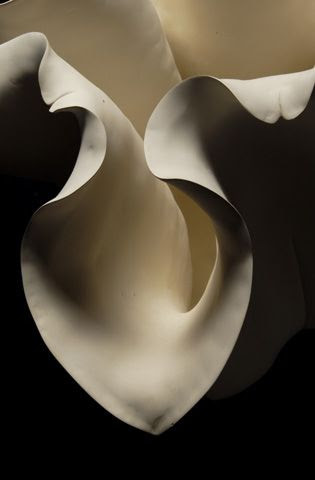 gallery-bloom15 | lidewij edelkoort