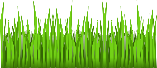 Rumput png Cliparts co Rumput png Cliparts co