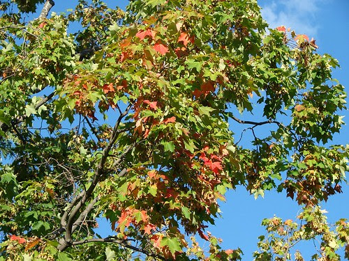 DSC04306