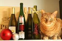 Christmas Simon 2010