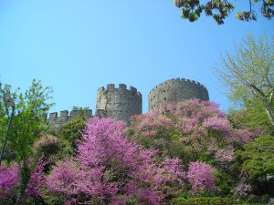 Árbol del amor junto a al fortaleza de Rumelia