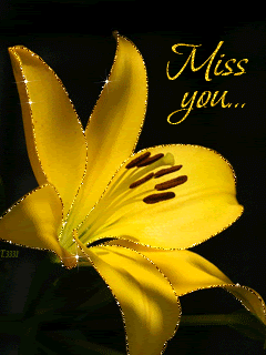 Желтая лилия (Miss you...)