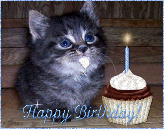 Buon Compleanno Gatto