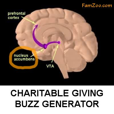 Charitable Giving Buzz Generator