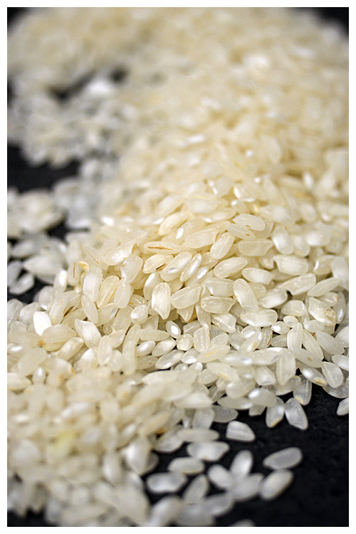 arborio rice© by Haalo
