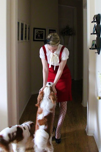 doggies