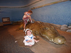 Fake Crocodile