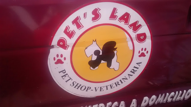 Pet's Land - Veterinario