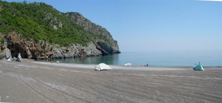 limnionas3