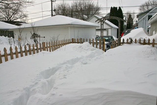 blizzard 2011
