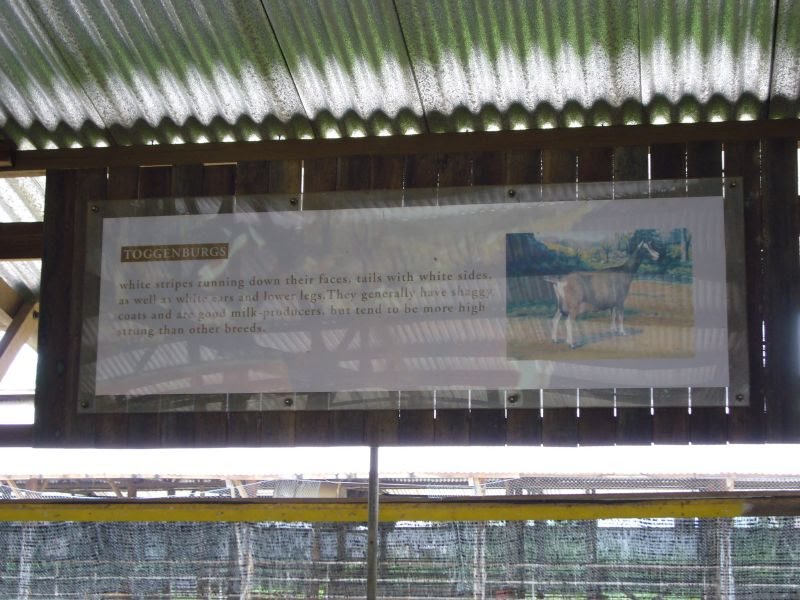 P1000116
