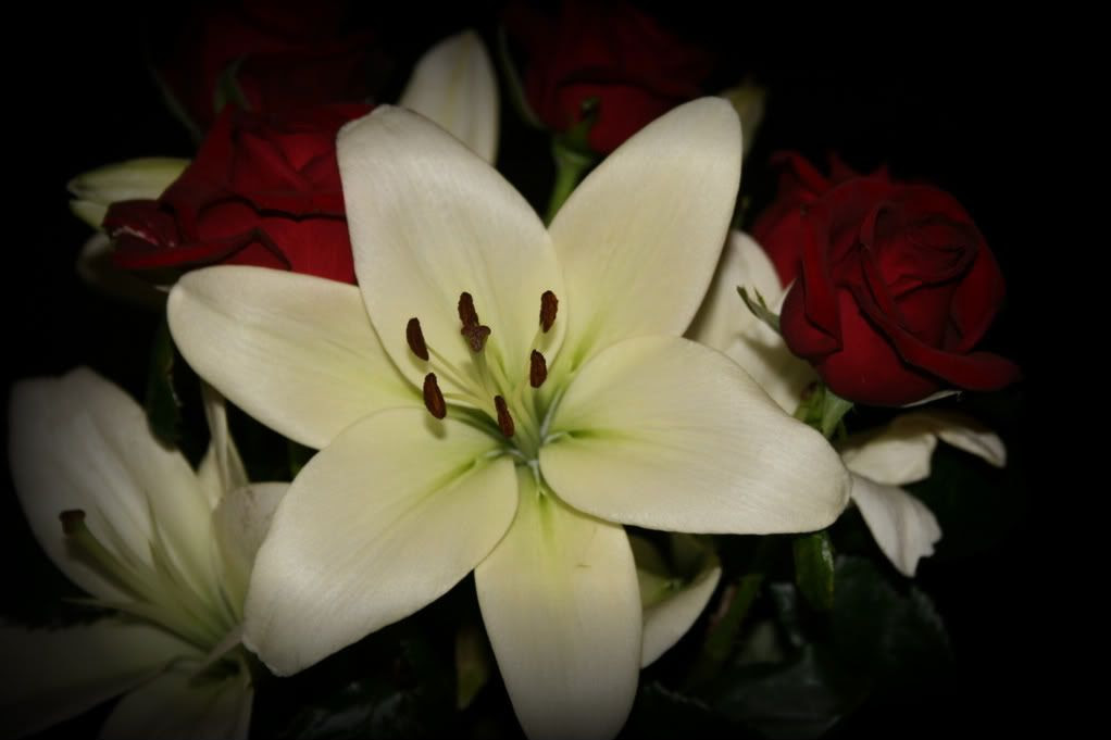 Blomster til Henning