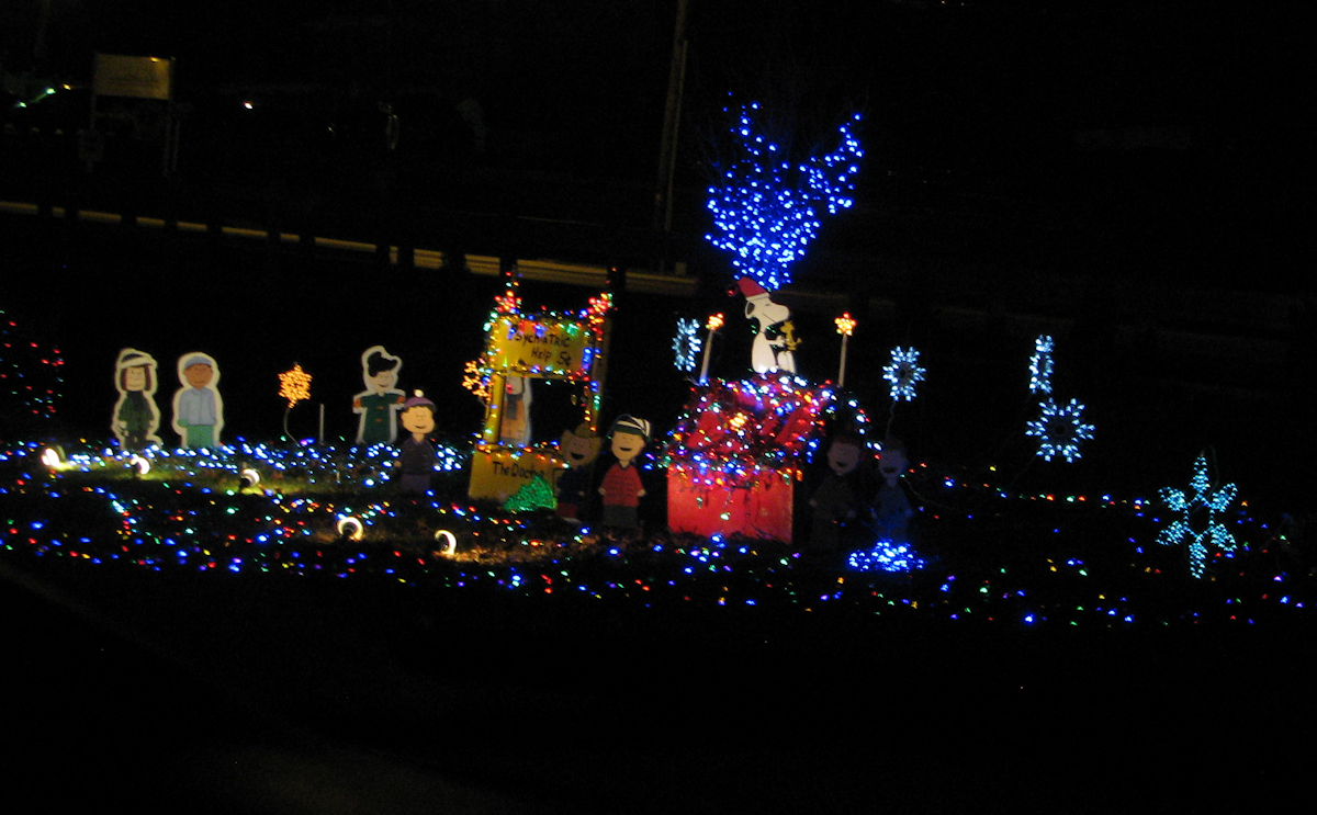 Peanuts Outdoor Christmas Decorations Sale Eki Riandra