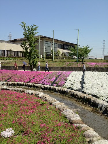 20120428101851