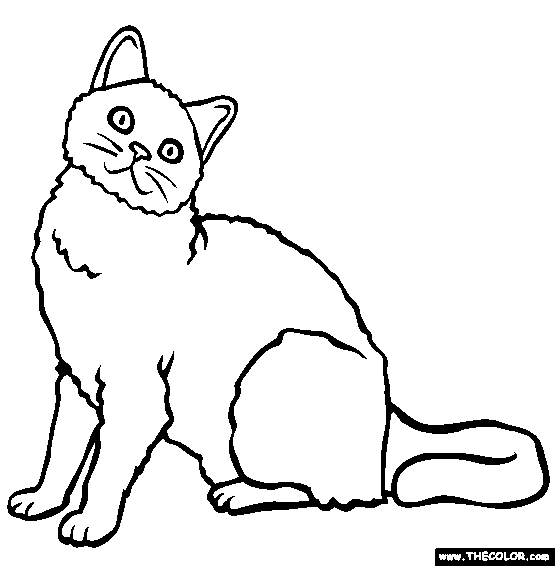 Download 161+ S Cat Breeds Coloring Pages PNG PDF File - Free Downloads ...