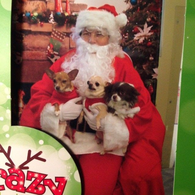 photo santa_zps713f897a.jpg