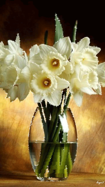 Прекрасные цветы в вазе