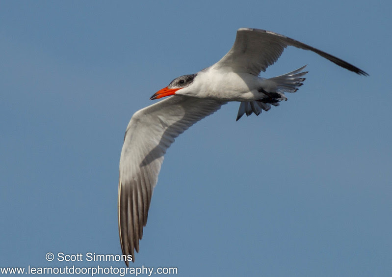 Photo & Video Sharing by SmugMug Photo & Video Sharing by SmugMug