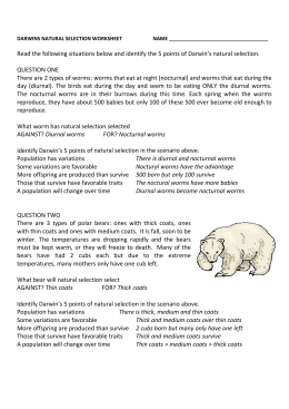 30 Natural Selection Simulation At Phet Worksheet Answers - Free