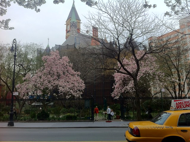 A Walk for the Blooming Trees