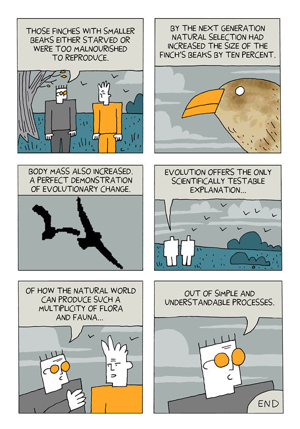 evolution 23