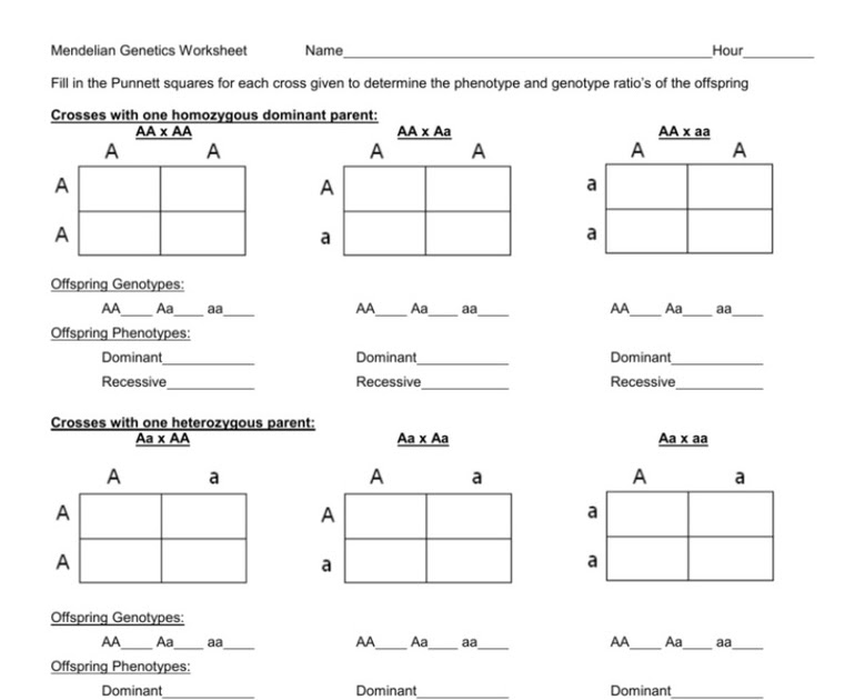 genetics-basics-worksheet-answers-genetics-science-learning-center-pix-nolan