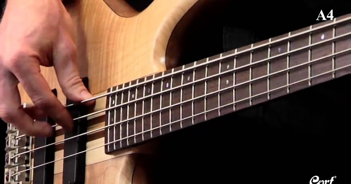 Cort Bass Guitar Wiring Diagram