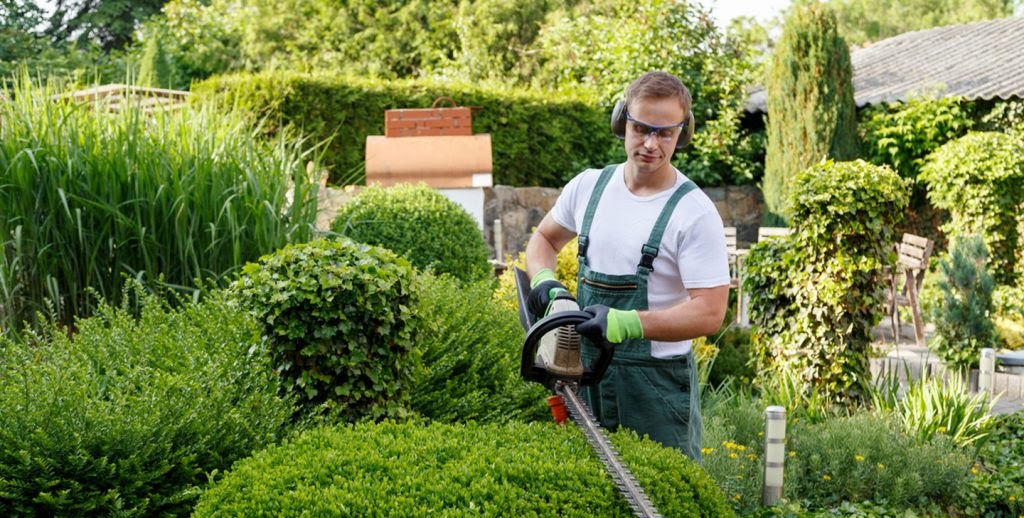 Grounds Maintenance Services An Overview Of Grounds Maintenance Services