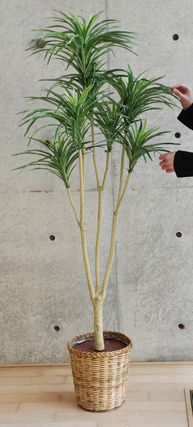 光触媒 観葉植物 大型（人工観葉植物） 光の楽園 オリーブ1.8m【インテリア・フェイク グリーン】 新年度予算案