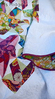 Butterfly Bloom Bloom Pow!