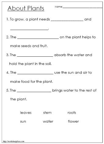 worksheets for grade 1 science pdf kiddo andthings