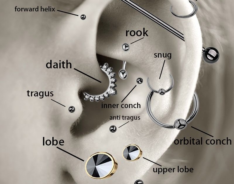 Piercing Near Me: Cartilage Piercings Chart