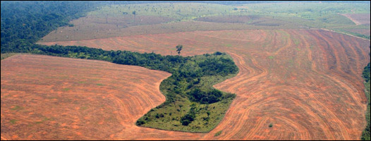 Deforestación  en el Amazonas
