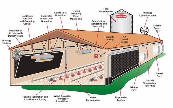 broiler-chicken-house-plans-south-africa-build-your-own-hen-house