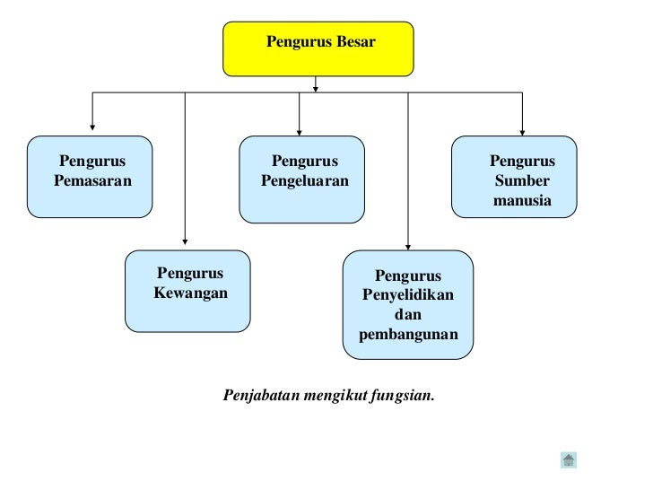 Contoh Carta Organisasi Struktur Fungsi - Shoe Susu