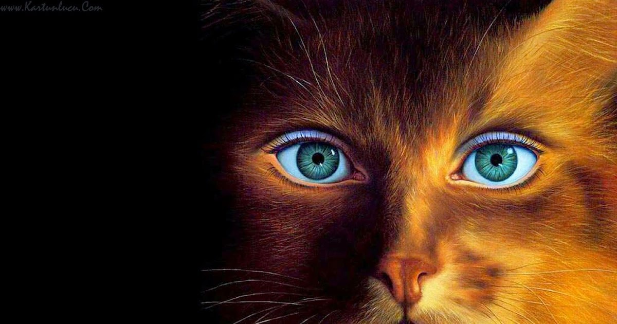 Wallpaper Anime Kucing Lucu