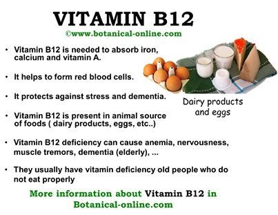 75 Popular Vitamin b12 rich indian vegetarian foods in hindi for Office Wallpaper