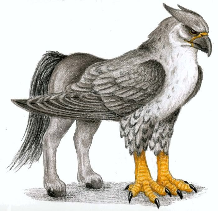 How To Draw A Hippogriff