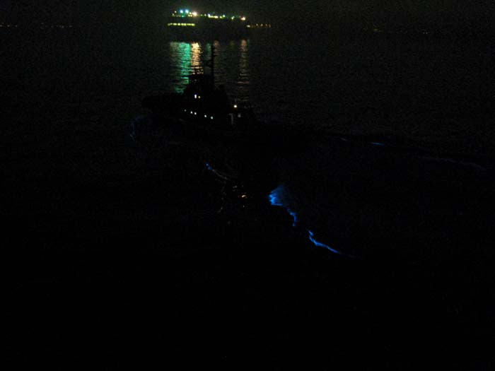 Glowing Tug Wake