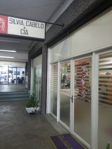 Silvia, Cabelo & Cia