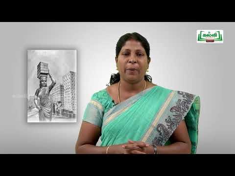 வகுப்பு 10 தமிழ் 9 மனிதம் ஆளுமை கவிதைப் பேழை சித்தாளு Kalvi TV