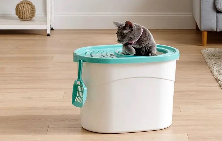 Best Self Cleaning Cat Litter Box
