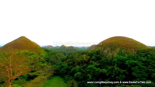 Bohol Chocolate Hills 2014