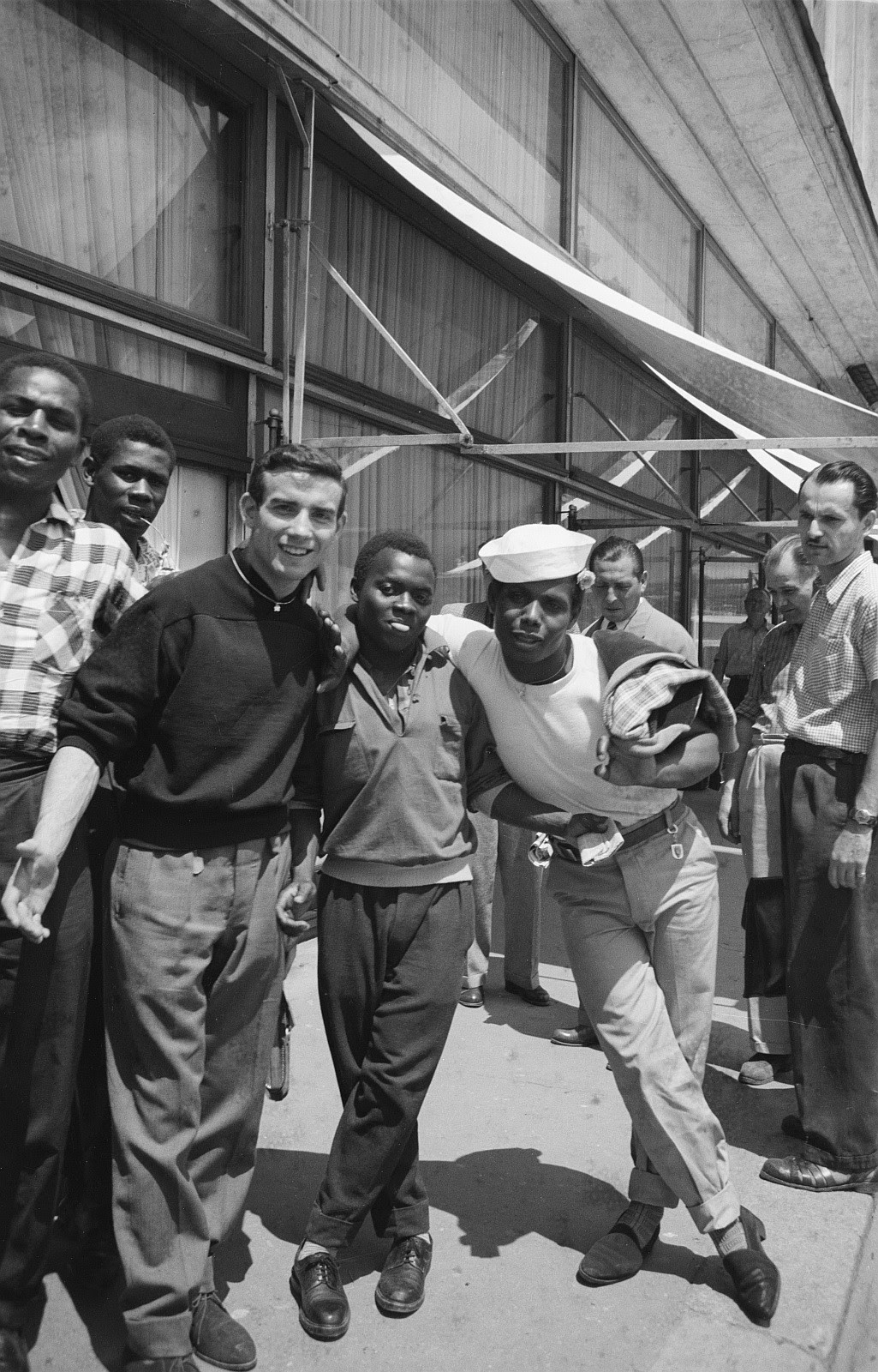 1956 diversitate