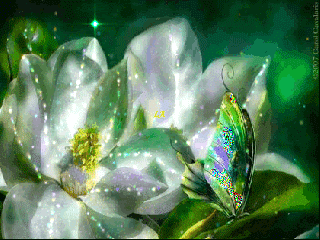 Бабочка на цветочках.