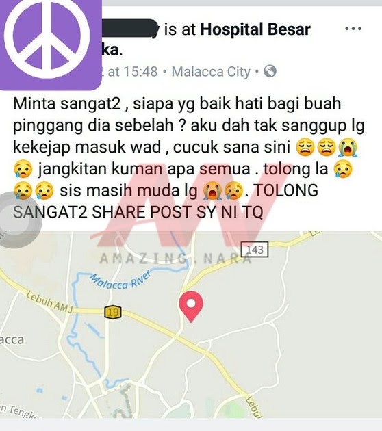 Ubat Darah Tinggi Rosak Buah Pinggang  Ca Contoh