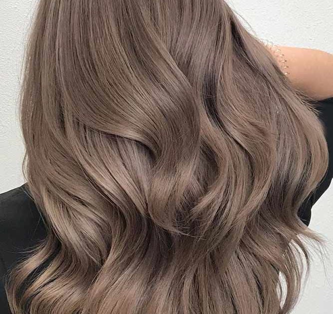 ash brown bremod hair color chart image result for light ash brown