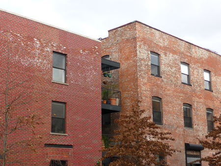 P1090786